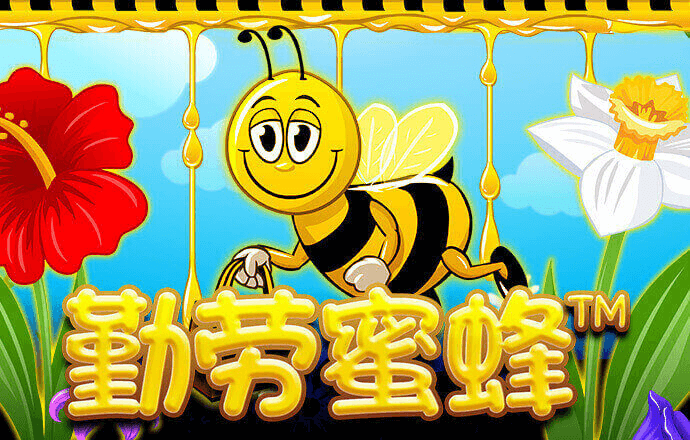 港澳宝典11133